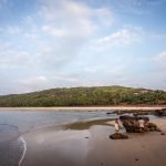 Sindhudurg! : The land of whales, dolphins and a myriad of sea creatures in the ocean